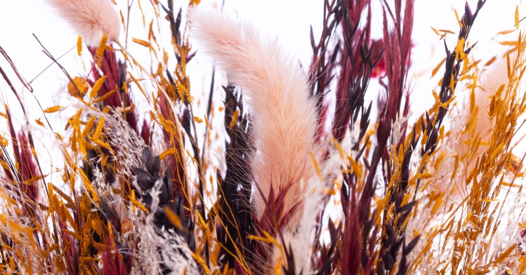 Dried flower bunches