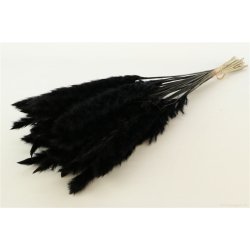 Bunch Fluffy Pampas 70 gr. Black