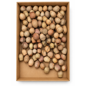 Eucalyptus bells p� tr�d natur 100 stk.