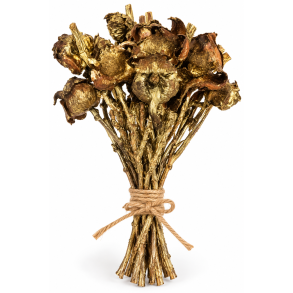 Nut Blute Gold Wash 30 Stk.