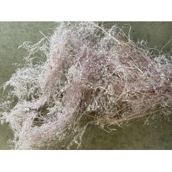 Agrostis pulchella warm grau 100 gr