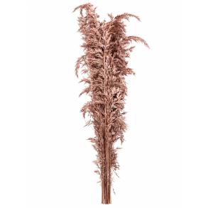 Ampelodesma rose gold 400 gr.