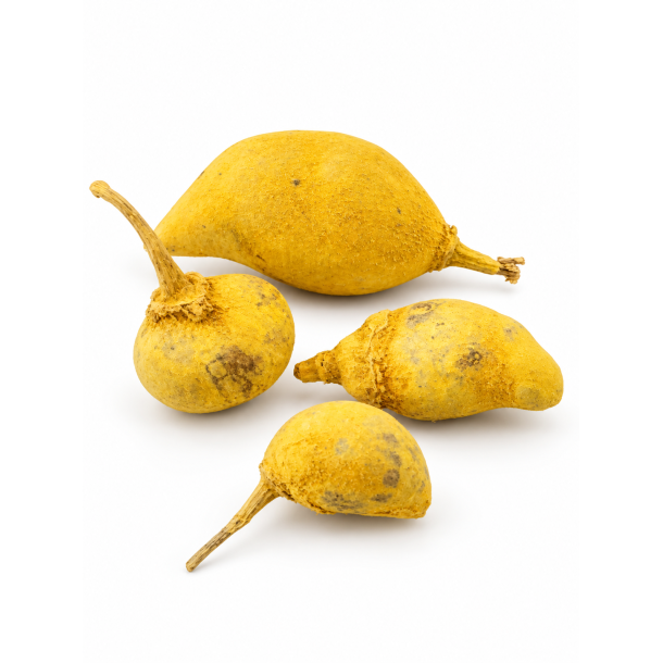Baobab Mini 250 gr. Yellow (ca.15 stk.)