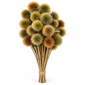 Kartoos mud green 25 stk. on stem