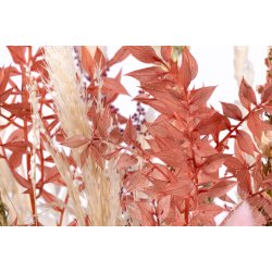 Dried Flower Bqt. Powder 