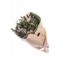 Dried Lagurus Bqt Burnt Henna 