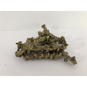 Banana Stem Cut 150 stk Gold Wash