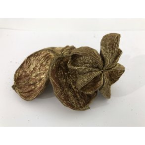 Land Lotus  50 stk. Guld Wash (2,98)