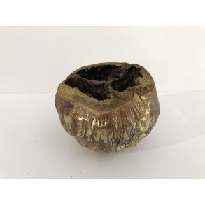 Talami 30 stk. Gold Wash 