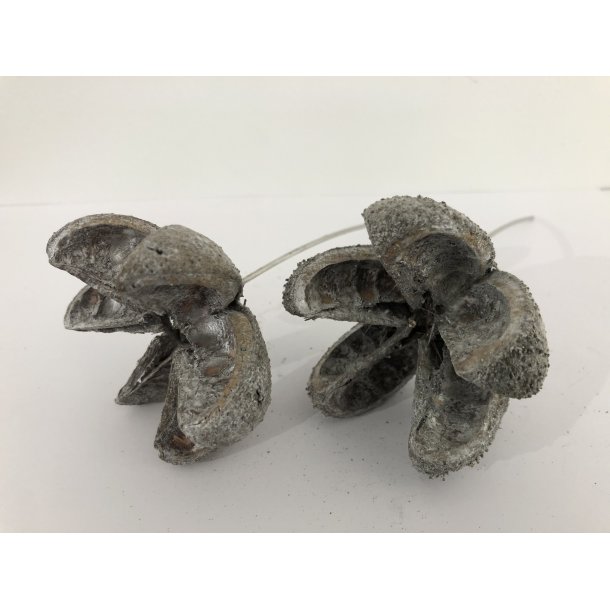 Betal Stars 5 cm,  200stk. 