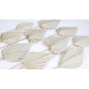 Palm Spear Natur 50 stk. 