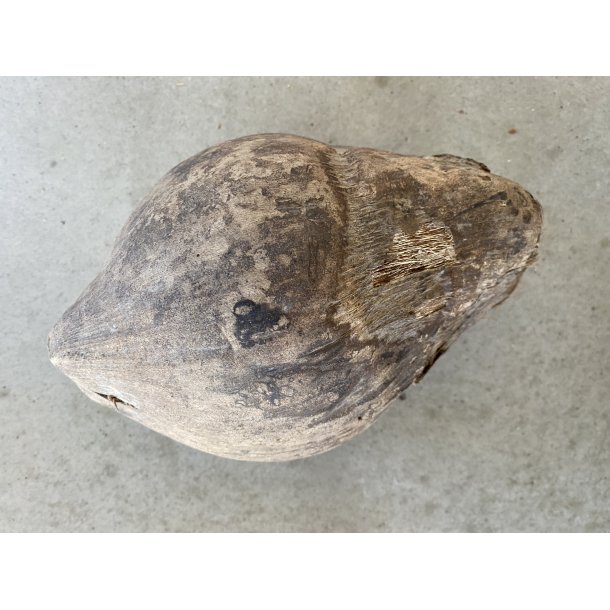 Cocus Nut Hel, pr. stk 