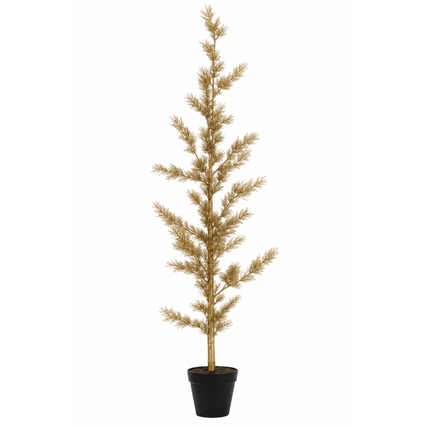 Cedertr� 120 cm platin