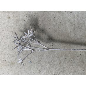 Blomsterstjerne Patina, 20 cm pind, 48 s