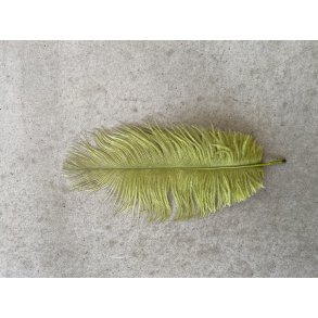 Strudsefjer Oliven 20 cm 2x15 stk. 