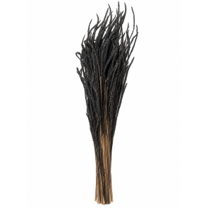 Phleum Zink 150 gr.