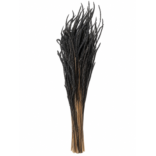 Phleum Zink 150 gr.