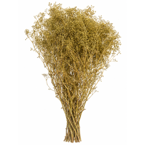 Mini Gypso Iceberg green, 100 gr.