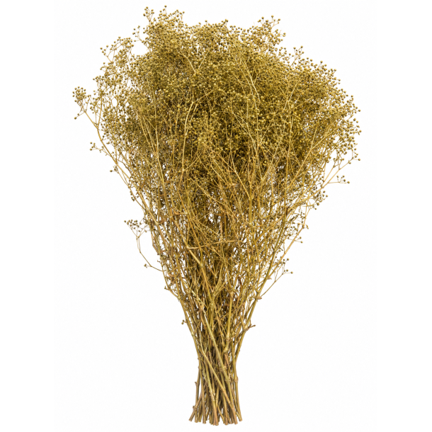Mini Gypso Iceberg green, 100 gr.