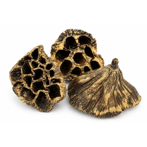 Lotus Pod Guld Wash, 50 stk