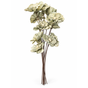 Shola Nayan flower 12 stk GR�N
