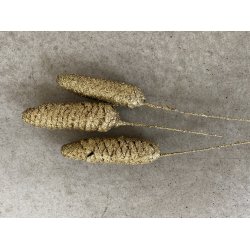 Rai Kogel Glitter/gold  (72 stk.)