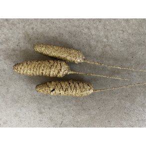 Rai Kogel Glitter/gold  (72 stk.)