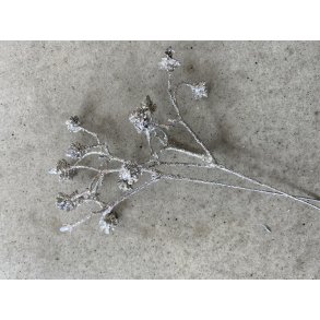 Brudeslr Platin 12 cm (72 stk)