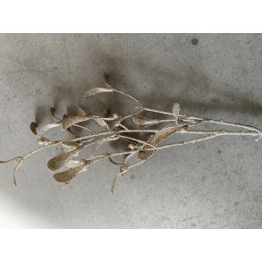 Mistelten Champagne 71 cm, pr. stk. 