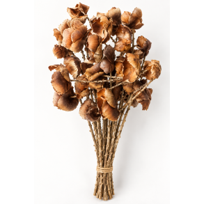 Palm cup on twig natur 25 stk.