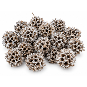 Casurina 2 kg. Silver Wash 