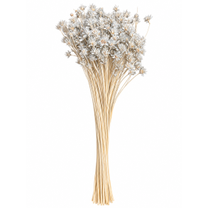 Hill Flower Hellgrau, 100 gr.