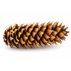 R�dgranskogler, 10 kg