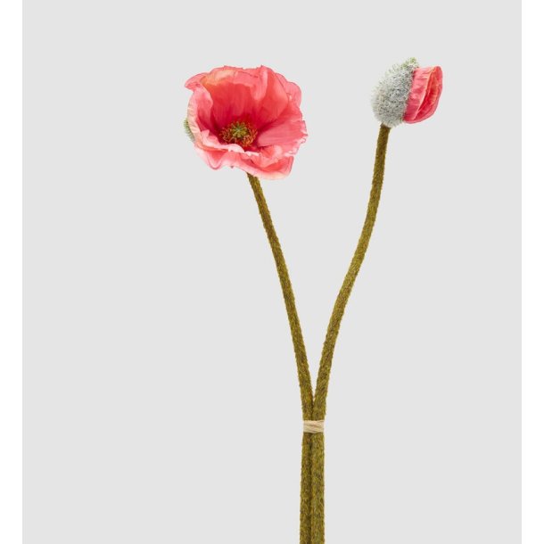 Papavero pink H 70 cm