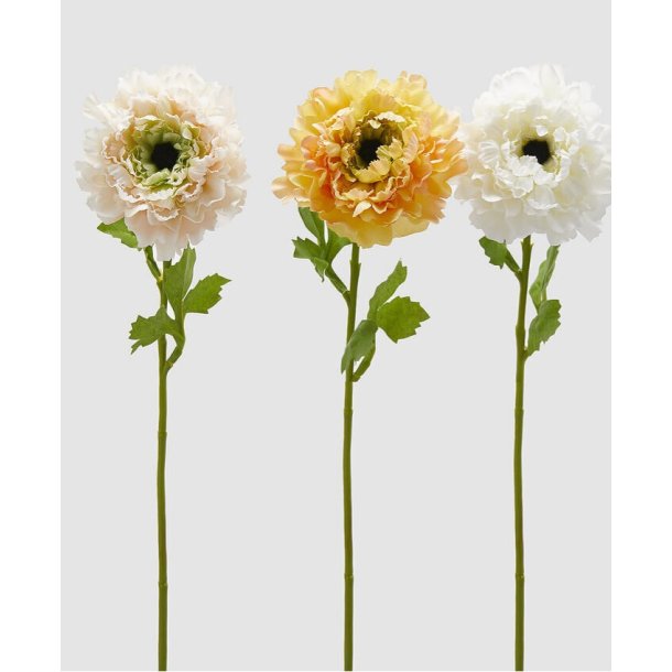 Anemone ass Lt. peach H 53 cm
