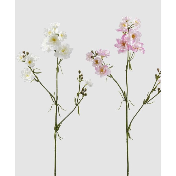 Speronella ass white/pink H 75 cm