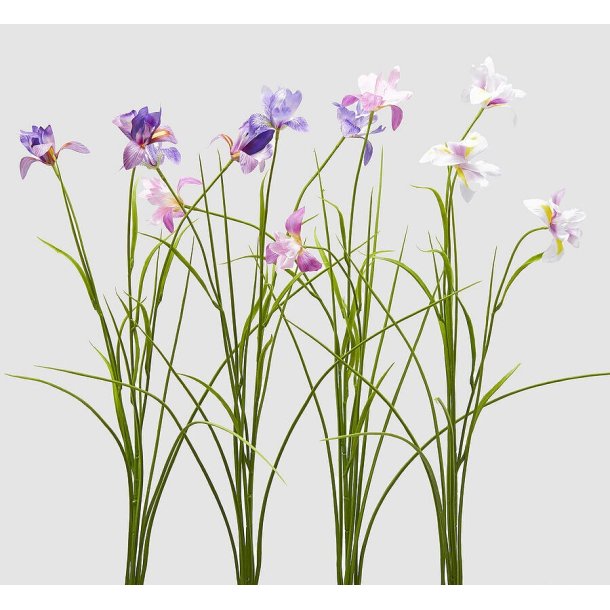 Iris mini dark pink H 70 cm