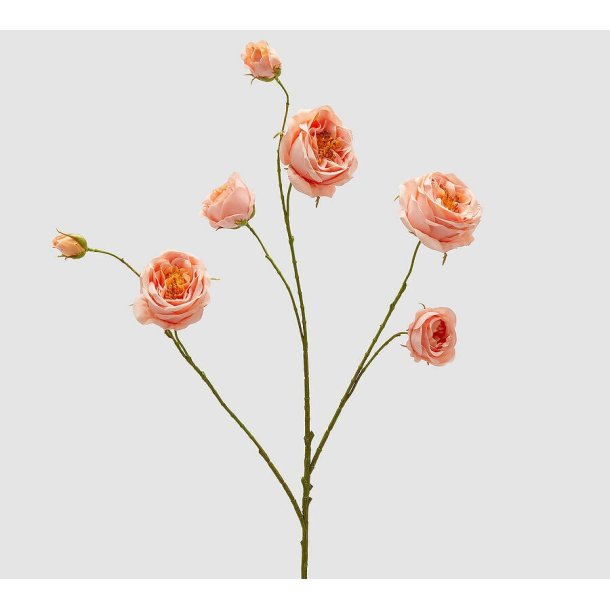 Rosa salmon H 100 cm