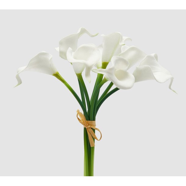 Calla 8 stk. 37 cm - white