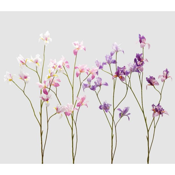 Iris 4 ass. 108 cm Pink mix