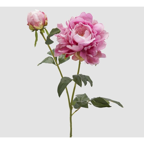 Peonia dark pink H 79 cm D 15 cm