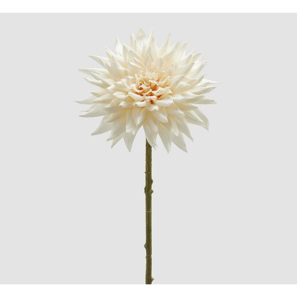 Dalia ivory H 65 cm