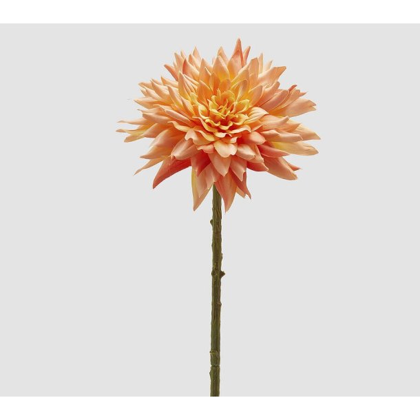 Dalia light peach 65 cm