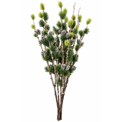 Sulten gran med kogler 98 cm