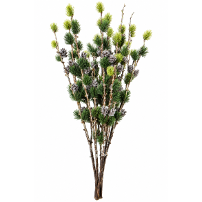 Sulten gran med kogler 98 cm