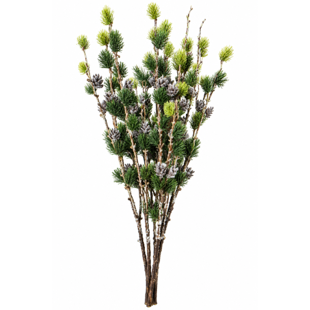 Sulten gran med kogler 98 cm
