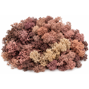 Finlands mos rosa 500 gr