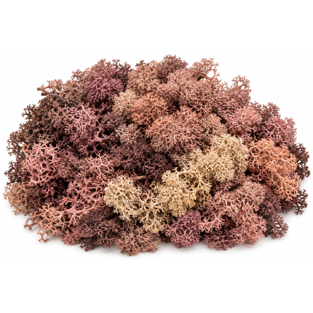 Finlands mos rosa 500 gr