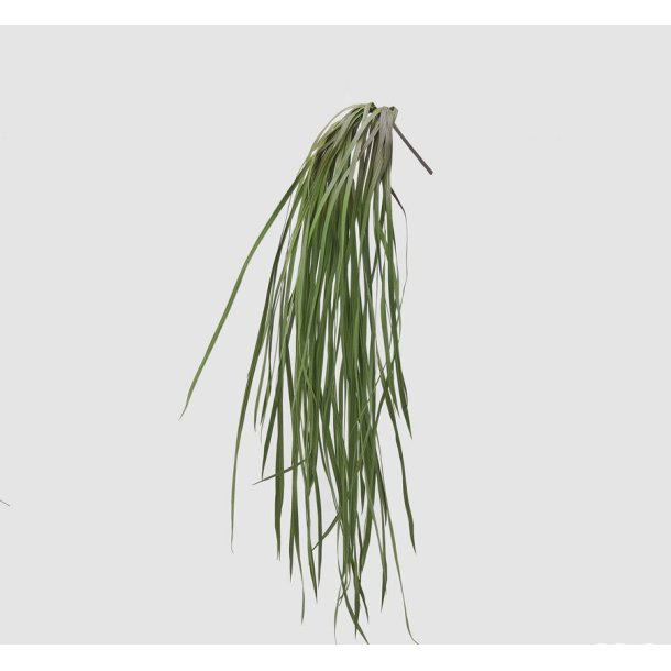 Zostera green H 85 cm