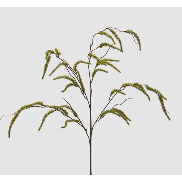 Salice lt. green L 114 cm